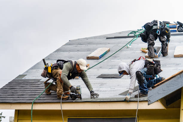 Professional Storm Damage Roof Repair technician working in New Bloomington, OH
